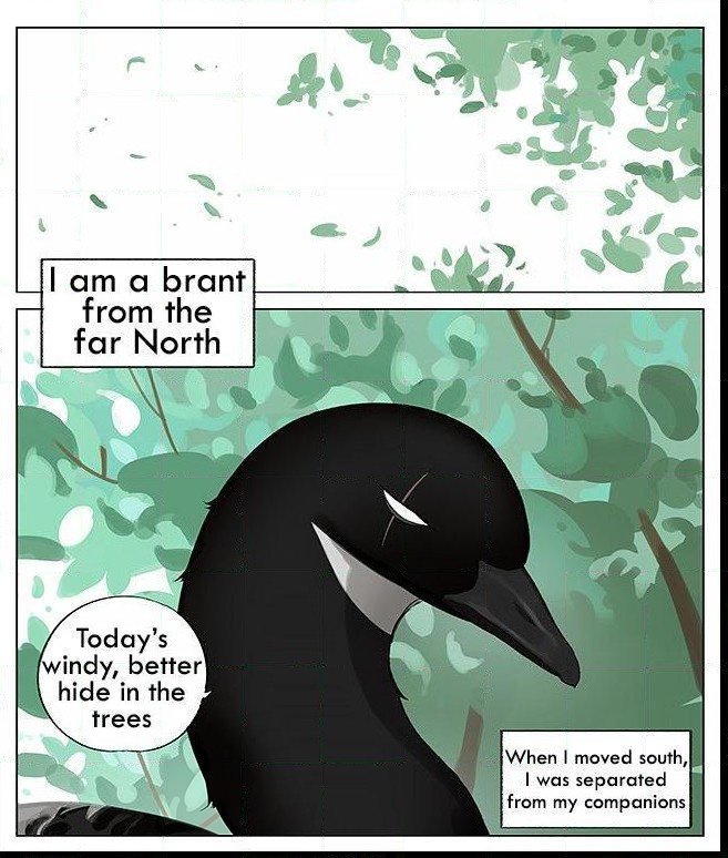 Southern Bird And Northern Bird Chapter 7 - Picture 1