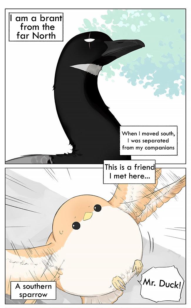 Southern Bird And Northern Bird - Page 1