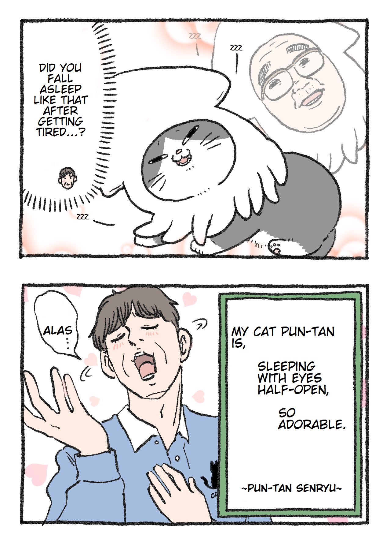 The Old Man Who Was Reincarnated As A Cat Chapter 113 - Picture 2